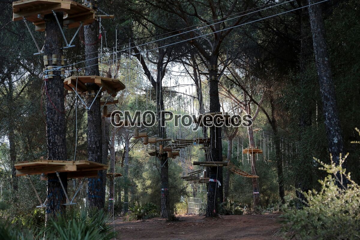 Courses on trees with bolt system en Parque Multiaventura CMO Proyectos